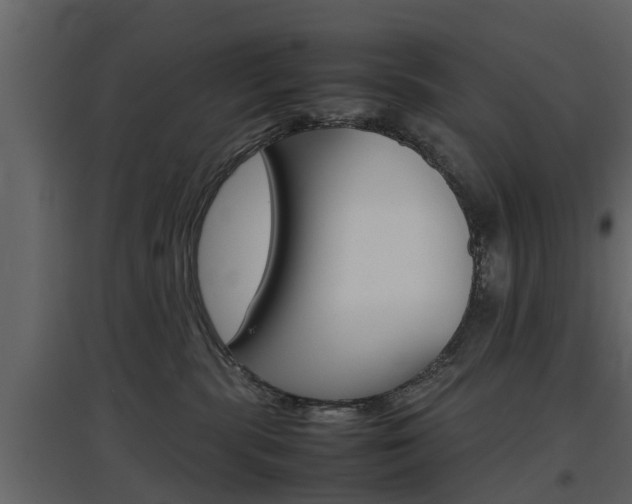 X0000097800283200803140743