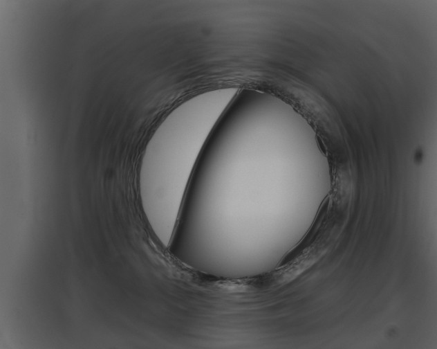 X0000097800284200803140743