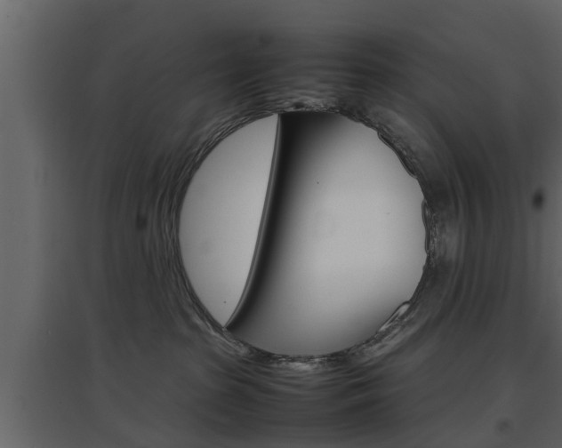 X0000097800285200803140743