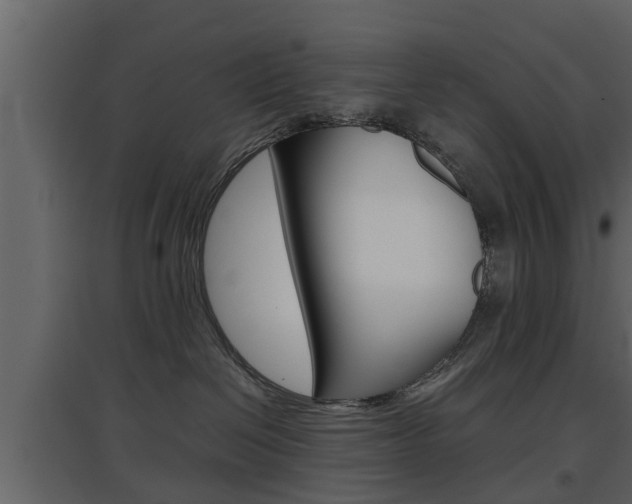 X0000097800286200803140743