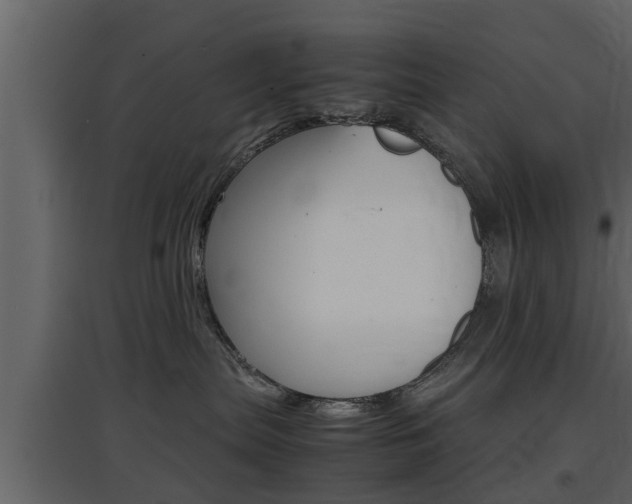 X0000097800287200803140743