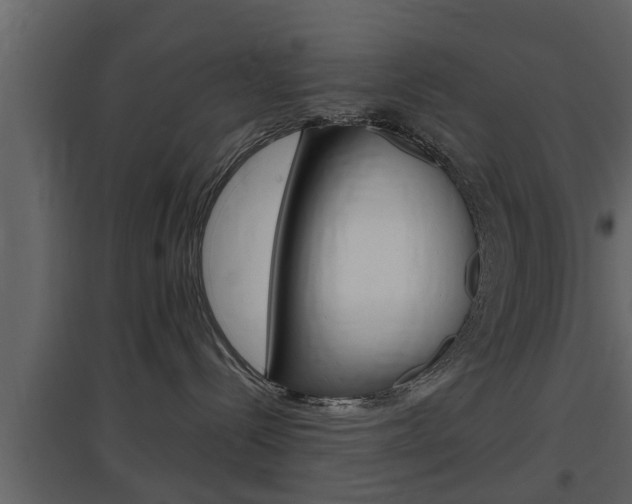 X0000097800288200803140743