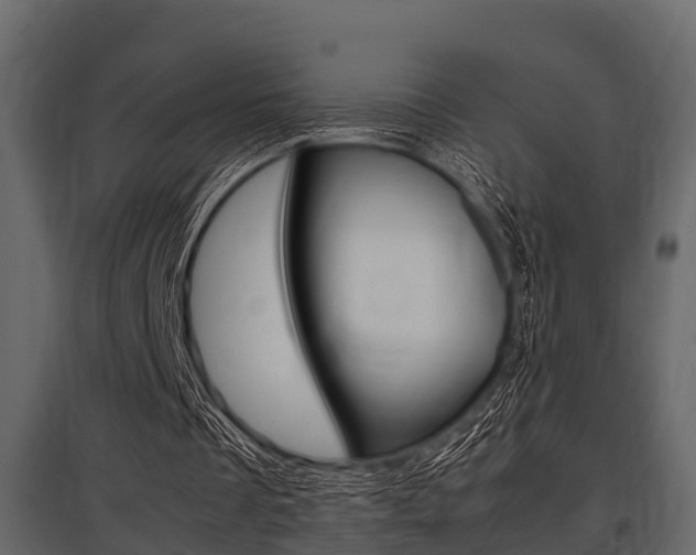 X0000097800289200803140742