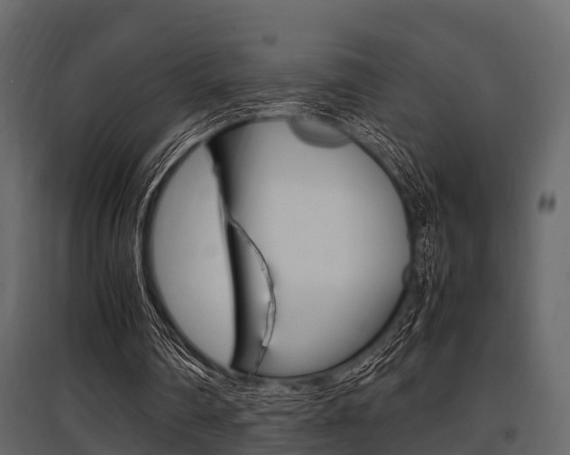 X0000097800290200803140742