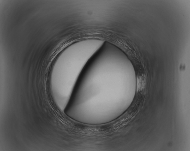 X0000097800291200803140742