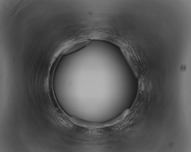 X0000097800292200803140742