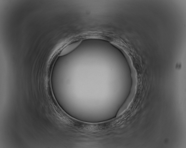 X0000097800293200803140742