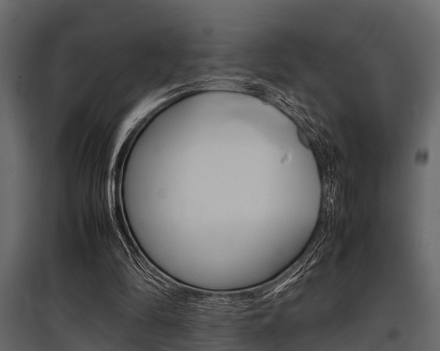 X0000097800294200803140742