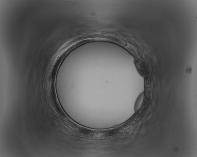 X0000097800295200803140742