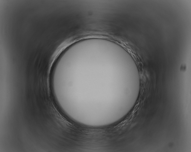 X0000097800296200803140742