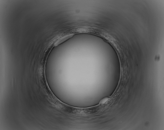 X0000097800297200803140742