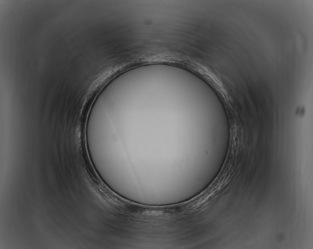 X0000097800298200803140742
