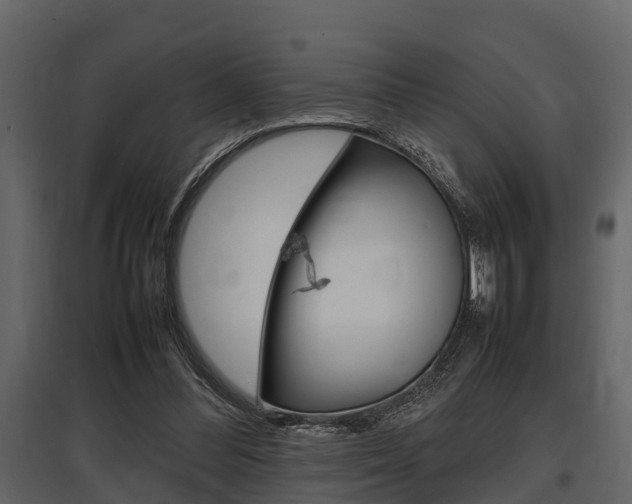 X0000097800300200803140742