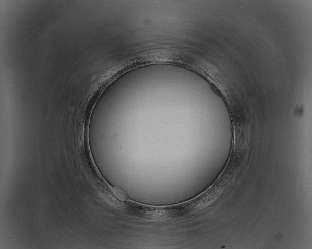X0000097800301200803140742