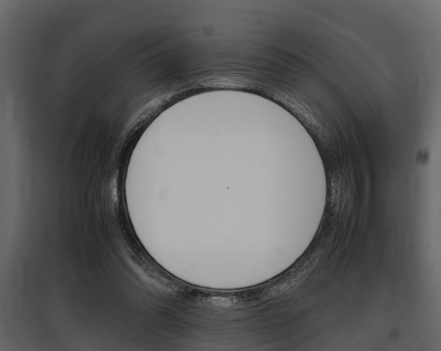 X0000097800302200803140742