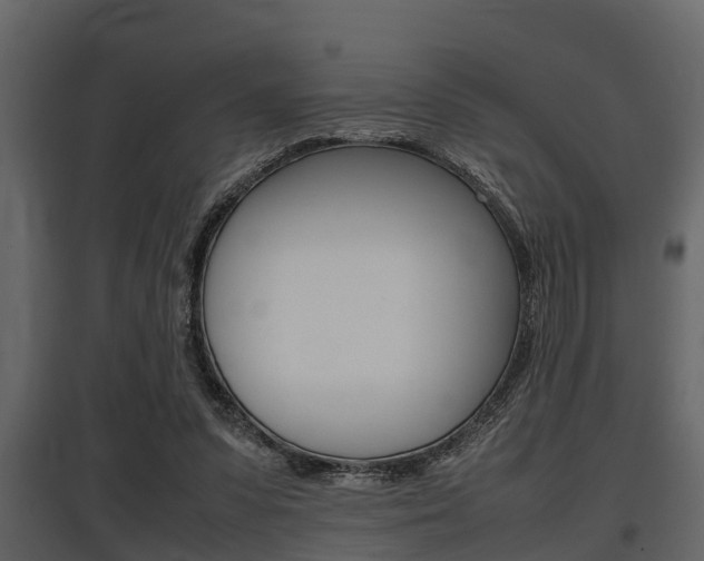 X0000097800303200803140742