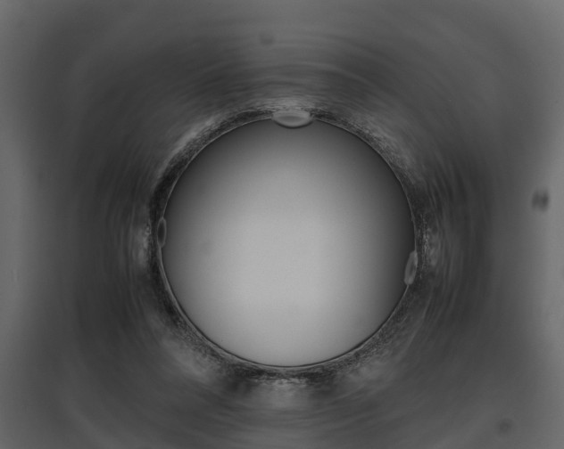 X0000097800304200803140742
