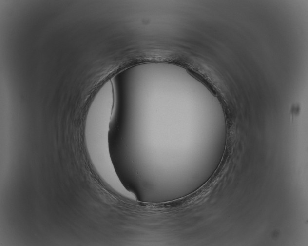 X0000097800305200803140742