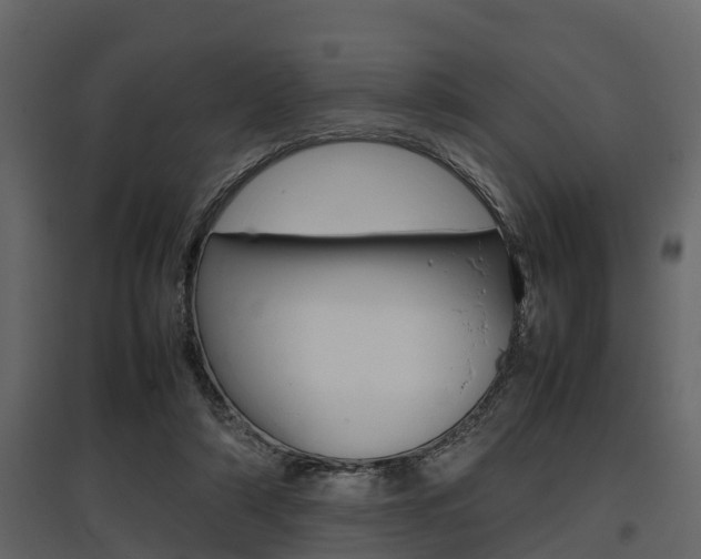 X0000097800306200803140742