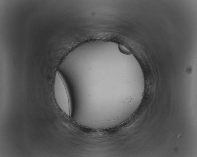 X0000097800307200803140742