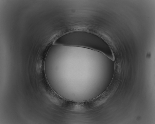 X0000097800308200803140742