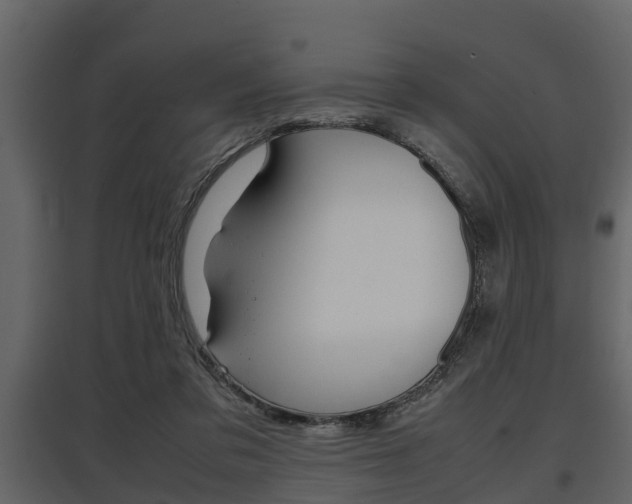 X0000097800309200803140742