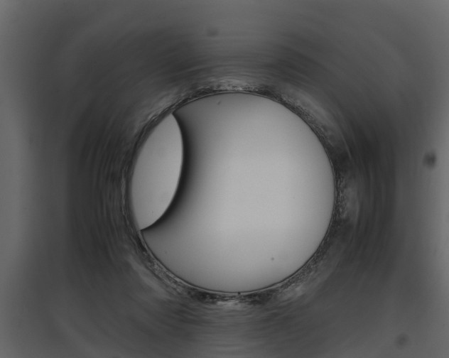 X0000097800310200803140742