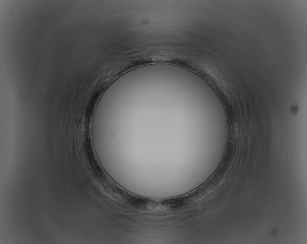 X0000097800311200803140742