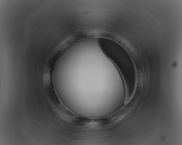 X0000097800312200803140742