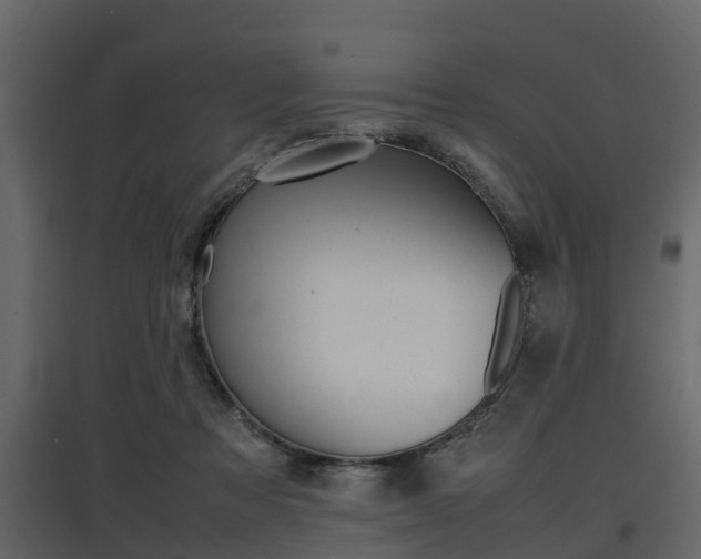 X0000097800313200803140742