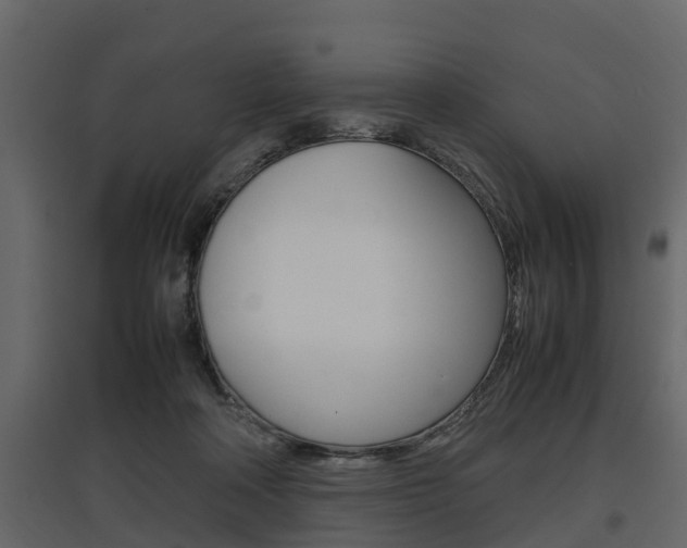 X0000097800314200803140742