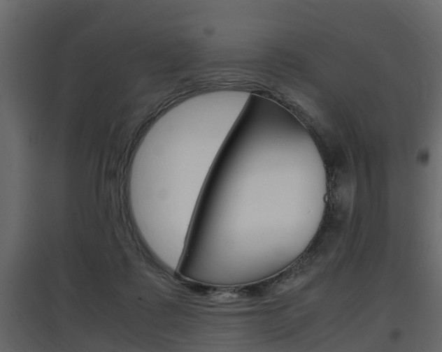 X0000097800315200803140742