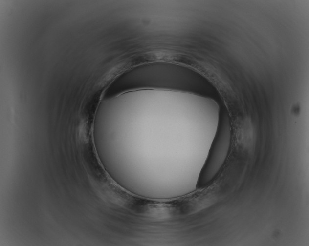 X0000097800316200803140742