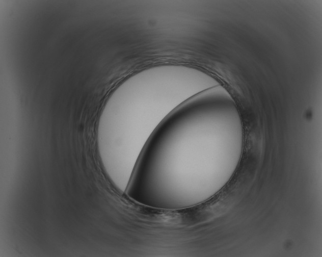 X0000097800317200803140742