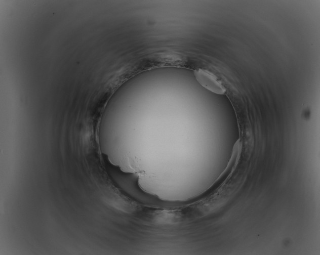 X0000097800320200803140742