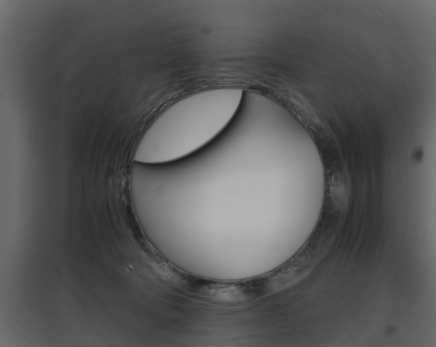 X0000097800322200803140742