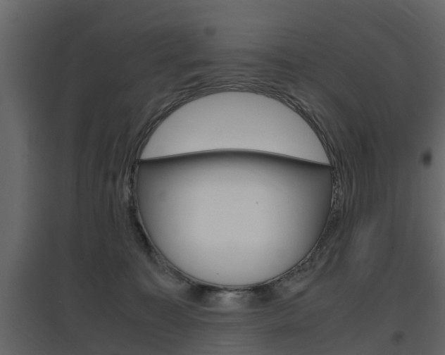 X0000097800323200803140742