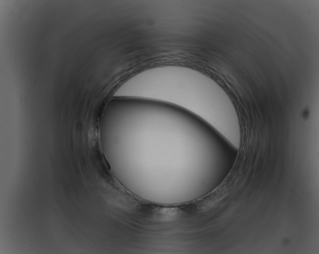 X0000097800324200803140742