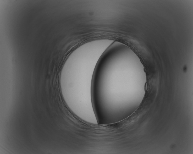 X0000097800325200803140742