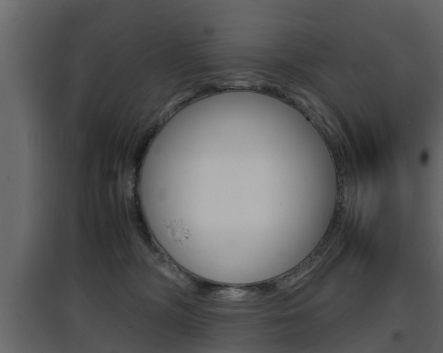 X0000097800326200803140742