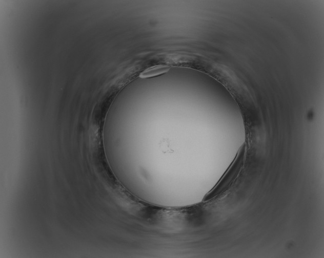 X0000097800327200803140742
