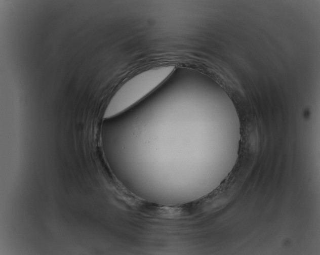 X0000097800328200803140742
