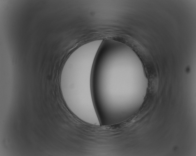 X0000097800329200803140742