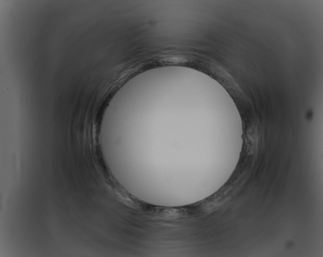 X0000097800330200803140742