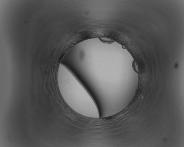 X0000097800331200803140742