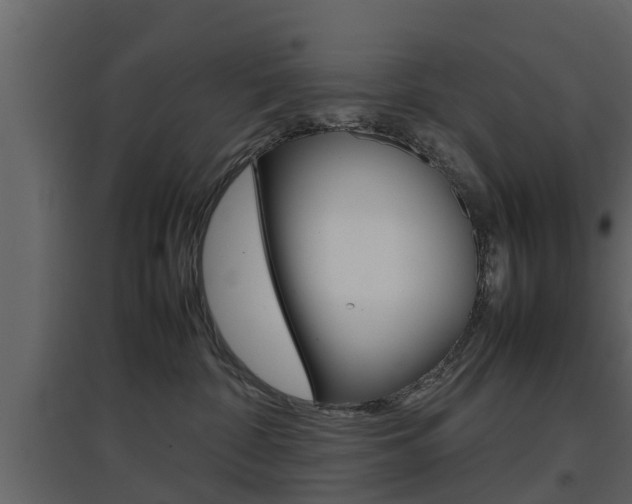 X0000097800332200803140742