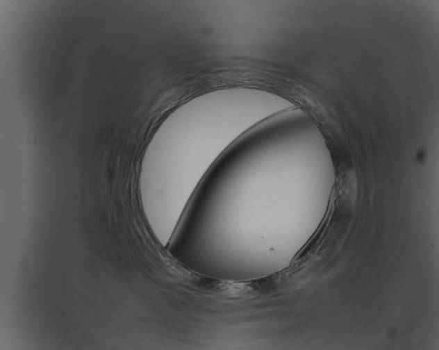 X0000097800333200803140742