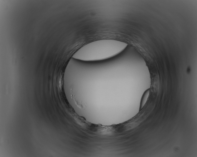 X0000097800334200803140742