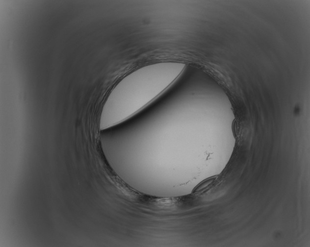 X0000097800335200803140742