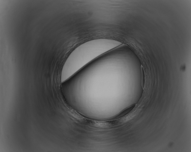 X0000097800336200803140742